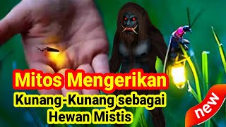 Mitos dan Fakta KunangKunang sang Hewan Mistis [upl. by Lehpar]