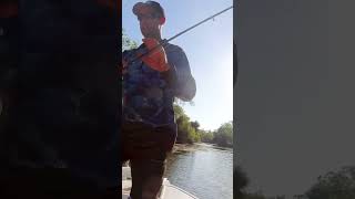 The Australian Saratoga saratoga fishing capeyork australia techniques tips fishingtips [upl. by Cohberg]