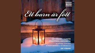 Sankta Lucia Santa Lucia Sung in Swedish arr L Strand [upl. by Adnawt]