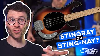 Is the CHEAPEST Stingray the BEST  Sterling Sub Series Ray 4 ReviewDemo [upl. by Yltnerb]