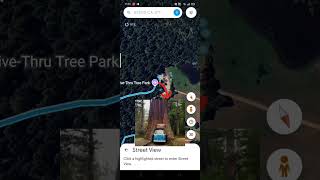 I found path in tree on Google maps and Google earth app 😱😱 [upl. by Ruon447]