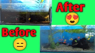 Before and After😍Aquarium cleaningJIBIS PETS [upl. by Rexanne]