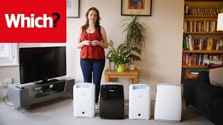 How to buy the best dehumidifier [upl. by Stormy]