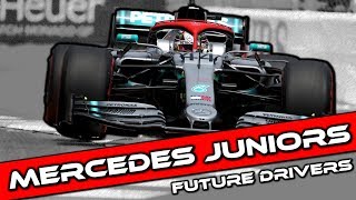 Mercedes F1 Future Drivers  Junior Drivers 2019 [upl. by Erena]