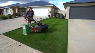 Is My Seeded Golf Green Ready To Play On  35 Day old Bentgrass Seed [upl. by Charo966]