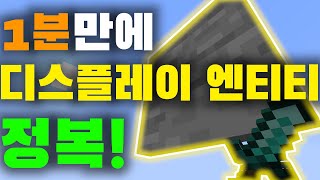 이번 스냅샷에 나온 display entity를 알아보자  커맨드 강좌 [upl. by Tirreg]