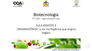 3BiotecAulaRemota3  Organogênese [upl. by Arabela]