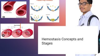 Hemostasis Physiology  Concepts and Mechanisms [upl. by Naujyt280]