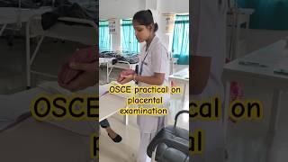 OSCE practical on placental examination of 2nd year students 🤞shorts practical nursingstudent [upl. by Hermy]