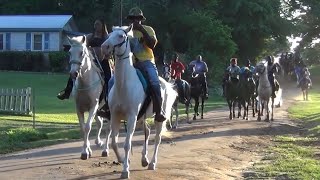 2022 Tennessee Walking Horse Trail Ride of Bread Winners Trail Riders [upl. by Aitnohs]