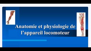 Anatomie et Physiologie de lappareil Locomoteur [upl. by Nnyllaf902]