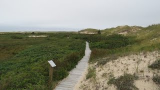 RÉSERVE NATIONALE DE FAUNE DE LA POINTEDELEST  GROSSE ÎLE  ILES DE LA MADELEINE [upl. by Leummas771]