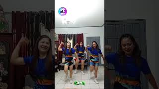 Papadol Budots dance danceworkout vmcangels fyp [upl. by Chucho]