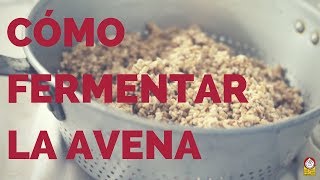 Cómo preparar Y FERMENTAR LA AVENA SERIE AVENA PARTE 5 [upl. by Assiran]