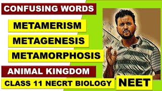 MERAMERISUM  METAGENESIS  METAMORPHOSIS  Animal Kingdom Class 11  NCERT  NEET  CONFUSING WORDS [upl. by Burgener]