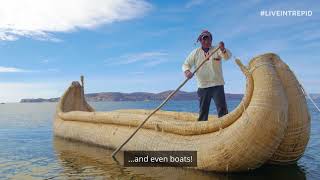 The Unique Floating Islands of Lake Titicaca [upl. by Issirk]