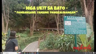 The Angono  Binangonan Petroglyphs site 012024 [upl. by Wulf]