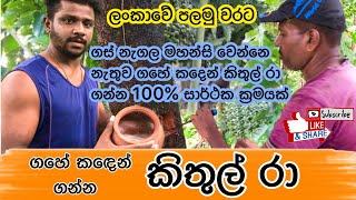 Kithul ra  කිතුල් රා  ගහට නගින්නෙ නැතිව කිතුල් රා ගන්න අලුත්ම ක්‍රමයක් [upl. by Blalock]