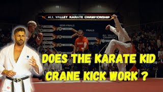 Does The Karate Kid “Crane Kick” work [upl. by Ellehcer884]