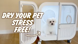 Homerunpet Drybo Ultra Review 🐶 The Best Smart Pet Dryer for Dogs amp Cats 🐱 [upl. by Tobin417]