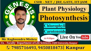 Photosynthesis  Chlorophyll  Carotenoids  Plant Physiology  CSIR NETJRF  IITJAM [upl. by Helve894]