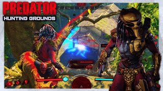 FALCONER PREDATOR BAD BLOOD PREDATOR HUNTING GROUNDS PC [upl. by Loftis379]