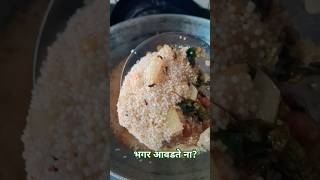 Barnyard milletभगर healthy mealrecipe cooking tasty fast [upl. by Griffy881]