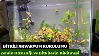 BİTKİLİ AKVARYUM KURULUMU  ZEMİN HAZIRLIĞI VE BİTKİLERİN DİKİLMESİ [upl. by Daffie]