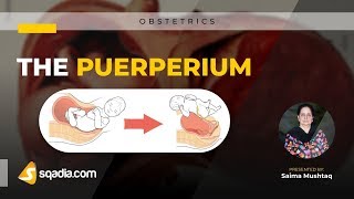 The Puerperium  Obstetrics Lectures 2019  sqadiacom  Medical Clinical Education [upl. by Ahsillek308]