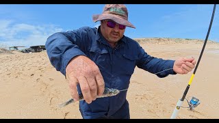 Fishing for Mulloway [upl. by Vlada]