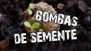 Como fazer Bombas de Sementes  melhore a vizinhança  Seed Ball [upl. by Frodina]