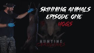 How to Skin Episode 1 Hogs [upl. by Leahpar]