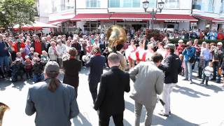 Top Dog Brass Band [upl. by Rehprotsirhc268]