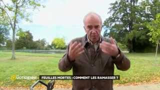 Que faire des feuilles mortes [upl. by Anayek]