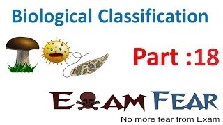 Biology Biological Classification part 18 Fungi typesbasidiomycetes Deuteromyctes CBSE class 11 [upl. by Nirraj]