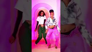 Kamata Tiktok Dance Challenge Diamond Platnumz [upl. by Harad]