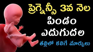 Third Month of Pregnancy Symptoms మూడవ నెల ప్రెగ్నెన్సీ లక్షణాలు తీసుకోవలసిన జాగ్రత్తలు🤰pregnancy [upl. by Dumas]