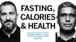 How Fasting amp Caloric Restriction Impact Health  Dr Satchin Panda amp Dr Andrew Huberman [upl. by Palocz]