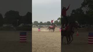 Stunt Horse show at Monmouth County Fair 2024 [upl. by Harold]