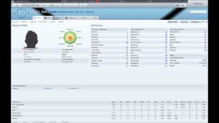 Football Manager 2011 Wonderkids Part 2 [upl. by Lorenzana]