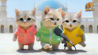 KUCING ALLOHUL KAFFI ROBBUNAL KAFFI SHOLAWAT BADAR VIDEO KUCING SHOLAWAT GEMOY KITTYDAV [upl. by Naresh]