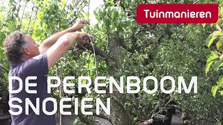 De perenboom snoeien hoe doe je dat  Tuinmanieren [upl. by Normand]