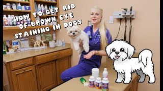 How to Get Rid of Brown Eye Staining in Dogs [upl. by Ennasus619]