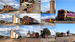 707s Vinelander in the Wimmera and Mallee August 16  19 2024 [upl. by Nedda]