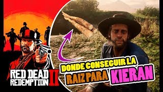 DONDE ENCONTRAR  LA RAIZ PARA KIERAN BARDANA  EN RED DEAD REDEMPTION 2  RDR2 [upl. by Ynohtnaluap]