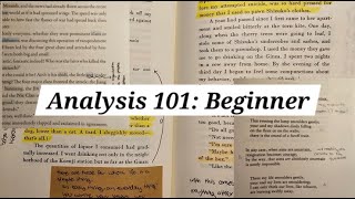 A beginners guide to Critical Literary Analysis [upl. by Sined4]