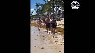 2023 Sargassum  Dominican Republic  Majestic Elegance Punta Cana [upl. by Alicsirp]