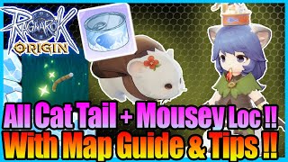 100 Cat Tail amp Mousey with Map Guide A ton of Diamond amp Traits Stats Ragnarok Origin Global [upl. by Nnawtna]