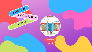 Sodium Potassium Pump in bioinorganic chemistry chemistry [upl. by Immij]