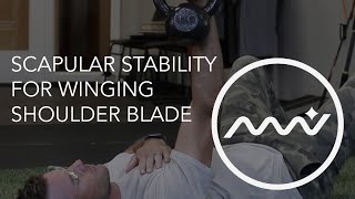 Scapular Stability  Fix Your Winging Shoulder Blade [upl. by Ehud]